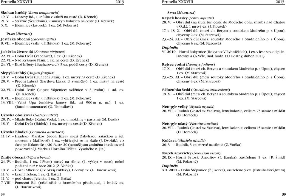 Křenek) 22. VI. Nad Krásnou Plání, 1 ex. na cestě (D. Křenek) 24. VI. Kozí hřbety (Bucharova c.), 3 ex. podél cesty (D. Křenek) Slepýš křehký (Anguis fragilis) 18. V. Dolní Dvůr (Sluneční Stráň), 1 ex.