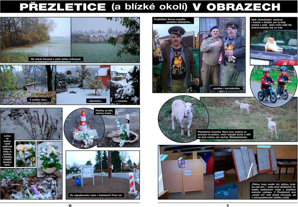 .. Letos se budou nosit sněhové čepice, řekly si bylinky i kytičky, zvláště bazalce sluší. Přezletické kozenky.