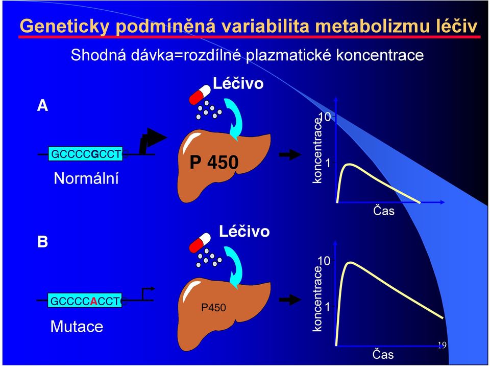 Léčivo A GCCCCGCCTC Normální P 450 koncentrace 10 1