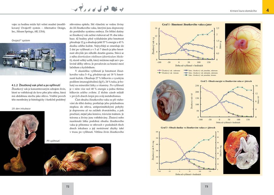 Vnitřní povrch této membrány je histologicky i funkčně podobný 19. den inkubace střevnímu epitelu.