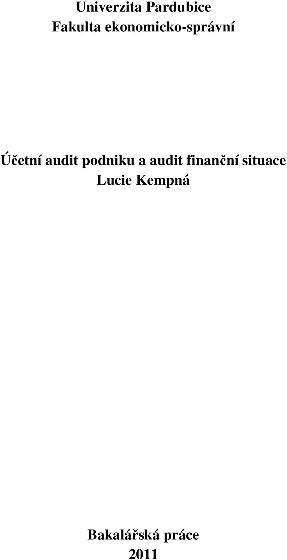 podniku a audit finanční