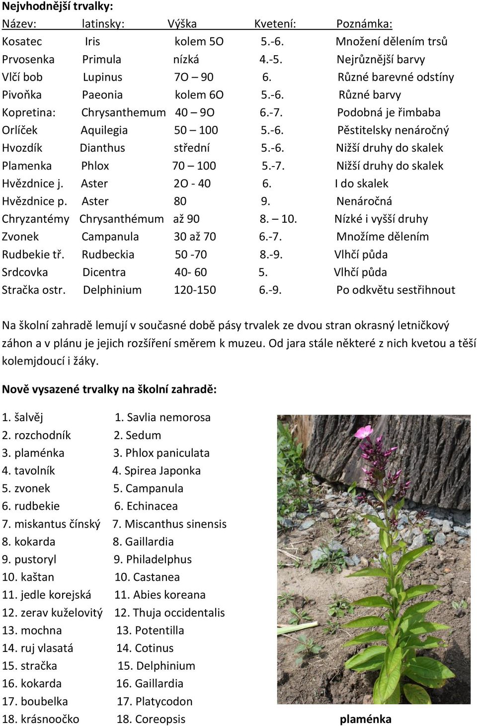 -6. Nižší druhy do skalek Plamenka Phlox 70 100 5.-7. Nižší druhy do skalek Hvězdnice j. Aster 2O - 40 6. I do skalek Hvězdnice p. Aster 80 9. Nenáročná Chryzantémy Chrysanthémum až 90 8. 10. Nízké i vyšší druhy Zvonek Campanula 30 až 70 6.