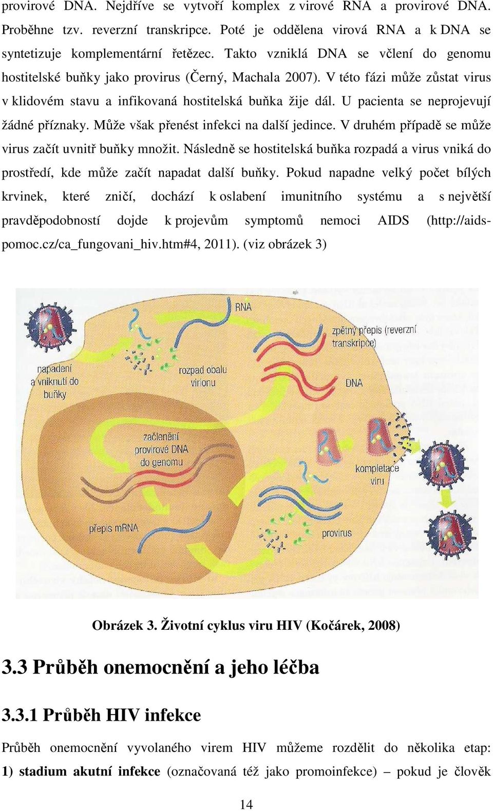 U pacienta se neprojevují žádné příznaky. Může však přenést infekci na další jedince. V druhém případě se může virus začít uvnitř buňky množit.