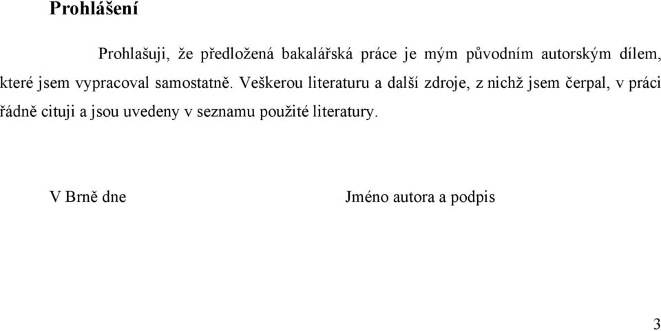 Veškerou literaturu a další zdroje, z nichž jsem čerpal, v práci