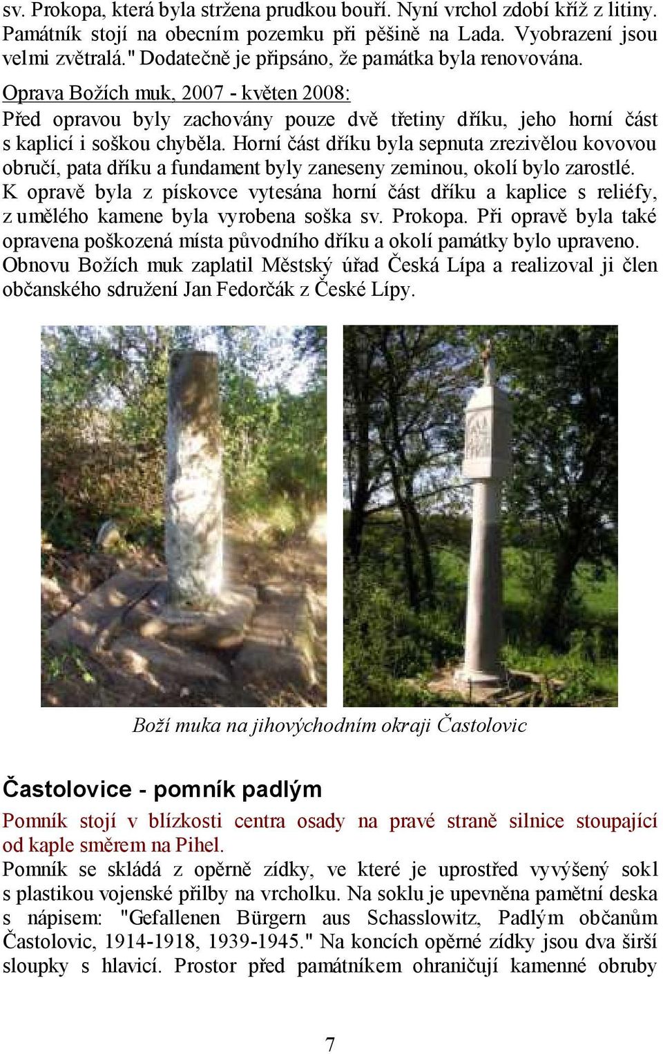 Horní část dříku byla sepnuta zrezivělou kovovou obručí, pata dříku a fundament byly zaneseny zeminou, okolí bylo zarostlé.