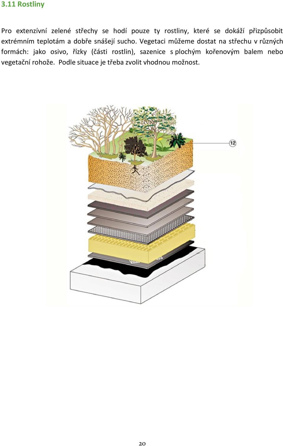 Vegetaci můžeme dostat na střechu v různých formách: jako osivo, řízky (části
