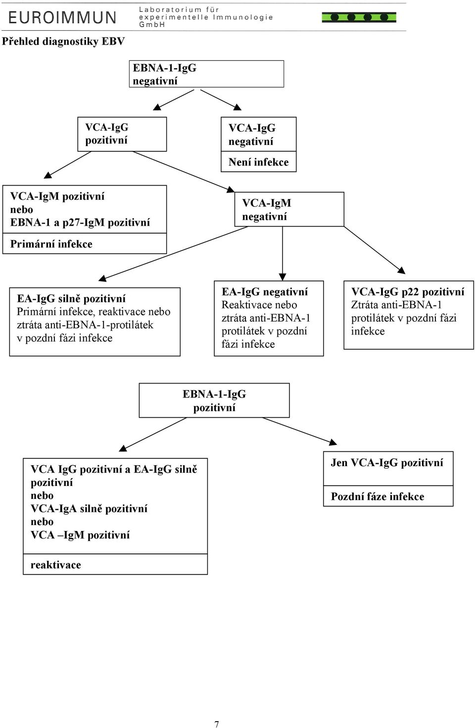 Reaktivace nebo ztráta anti-ebna-1 protilátek v pozdní fázi VCA-IgG p22 pozitivní Ztráta anti-ebna-1 protilátek v pozdní fázi EBNA-1-IgG