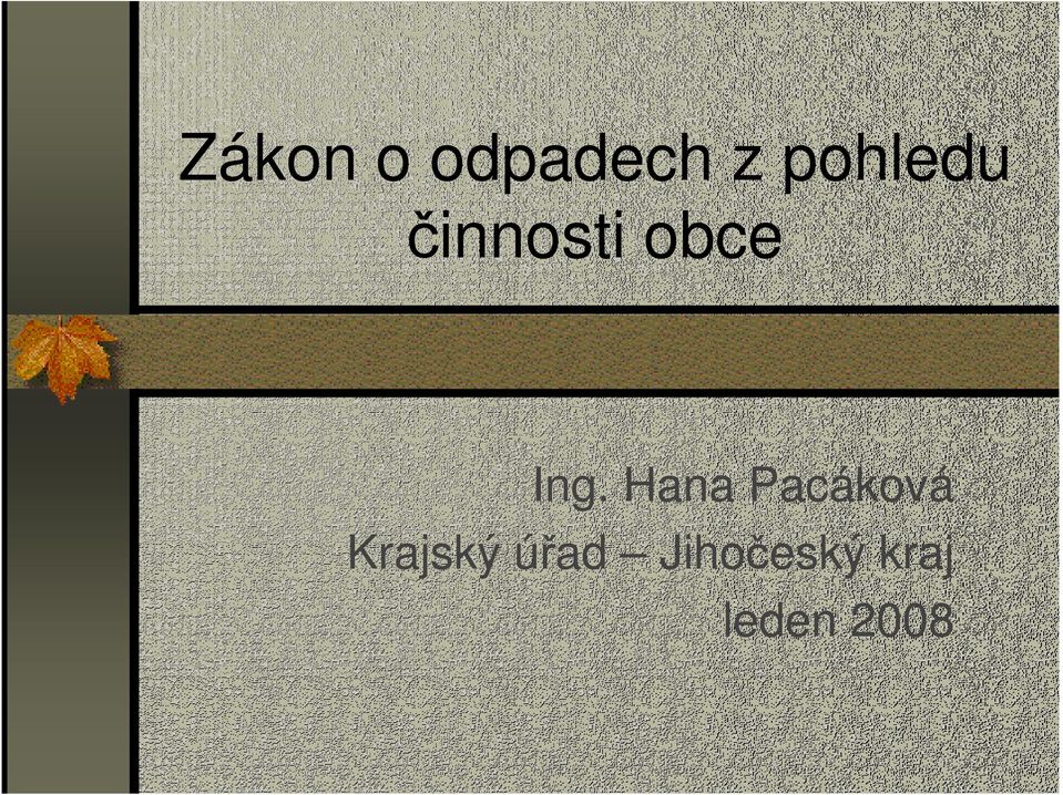 Ing. Hana Pacáková