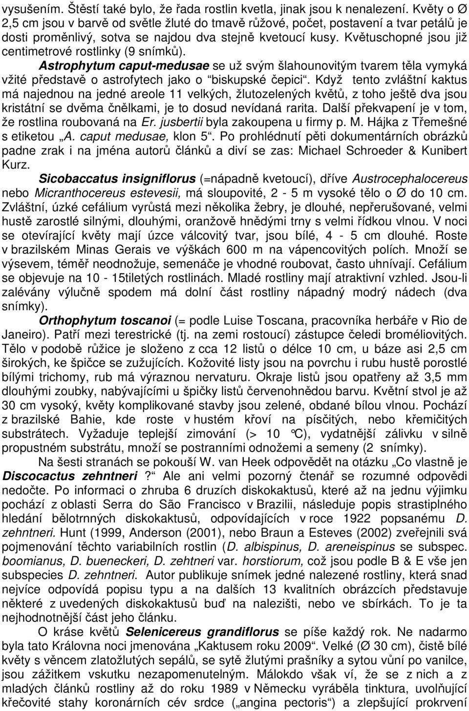 Květuschopné jsou již centimetrové rostlinky (9 snímků). Astrophytum caput-medusae se už svým šlahounovitým tvarem těla vymyká vžité představě o astrofytech jako o biskupské čepici.