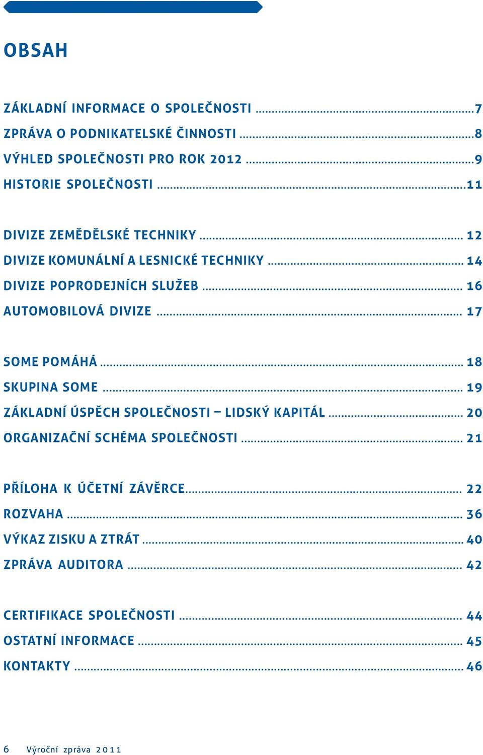 .. 17 SOME POMÁHÁ... 18 SKUPINA SOME... 19 ZÁKLADNÍ ÚSPĚCH SPOLEČNOSTI LIDSKÝ KAPITÁL... 20 ORGANIZAČNÍ SCHÉMA SPOLEČNOSTI.