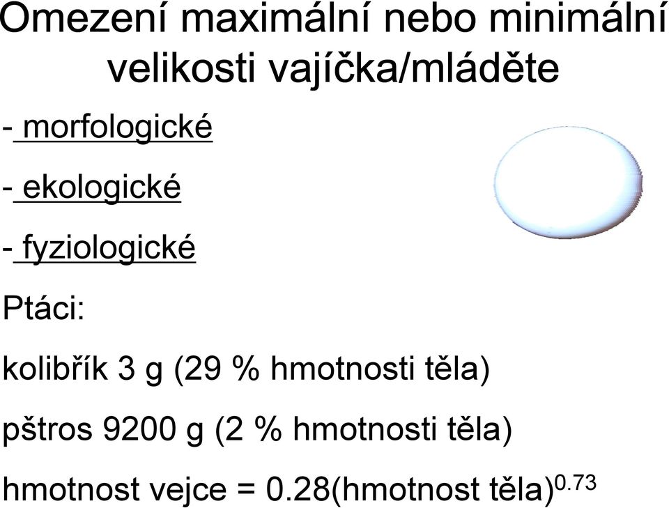 fyziologické Ptáci: kolibřík 3 g (29 % hmotnosti těla)