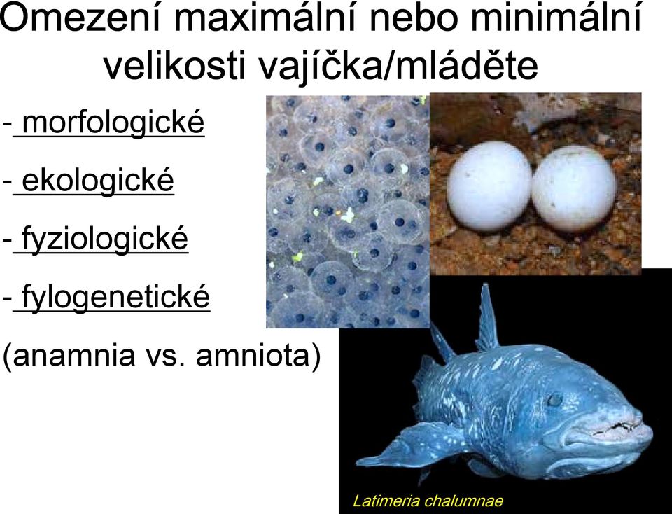 morfologické - ekologické - fyziologické -