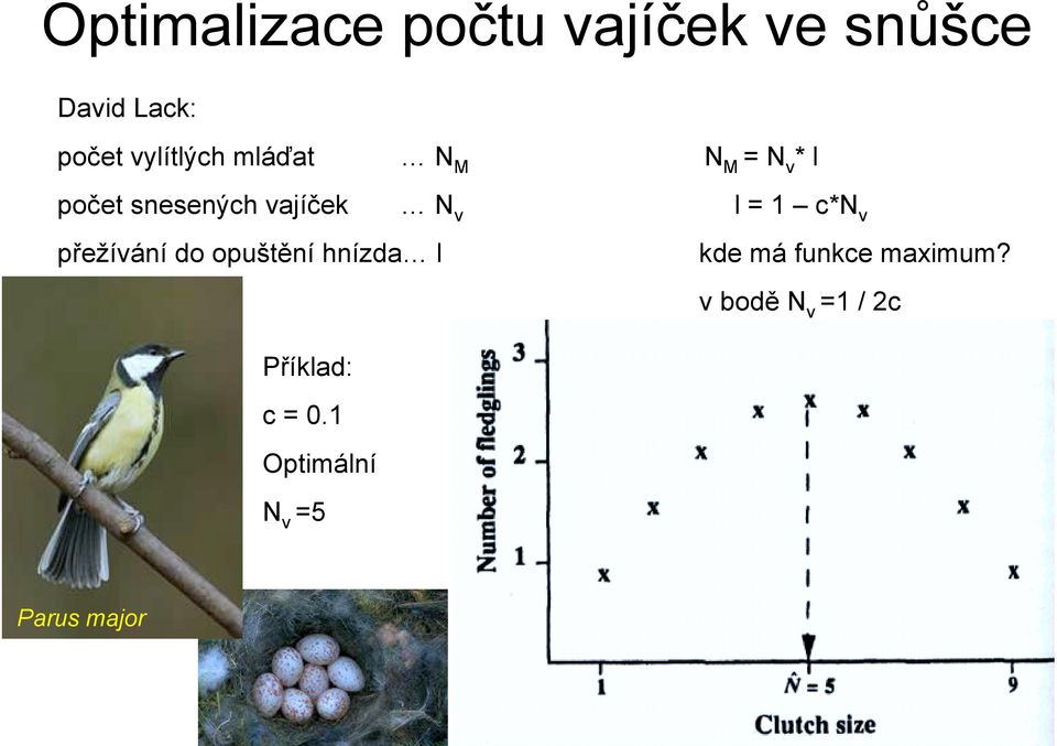 v l = 1 c*n v přežívání do opuštění hnízda l kde má funkce