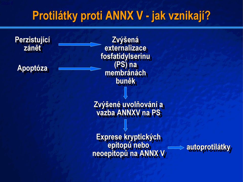(PS) na na membránách buněk Zvýšené uvolňování ování a vazba ANNXV