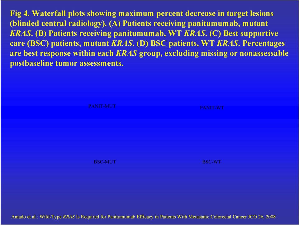 (C) Best supportive care (BSC) patients, mutant KRAS. (D) BSC patients, WT KRAS.