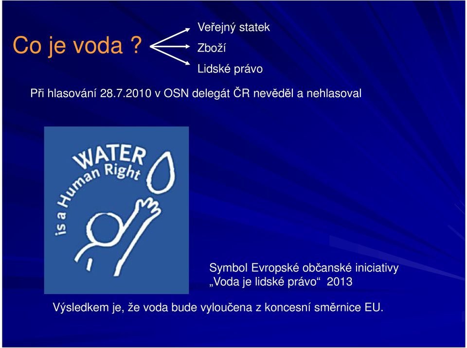 2010 v OSN delegát ČR nevěděl a nehlasoval Symbol