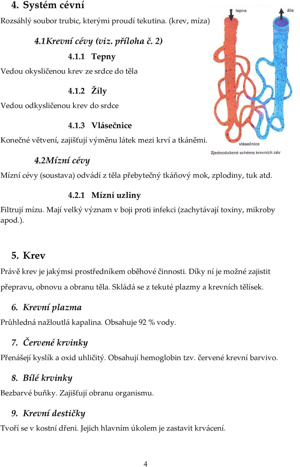 Mají velký význam v boji proti infekci (zachytávají toxiny, mikroby apod.). 5. Krev Právě krev je jakýmsi prostředníkem oběhové činnosti. Díky ní je možné zajistit přepravu, obnovu a obranu těla.