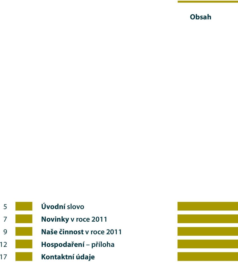 Naše činnost v roce 2011