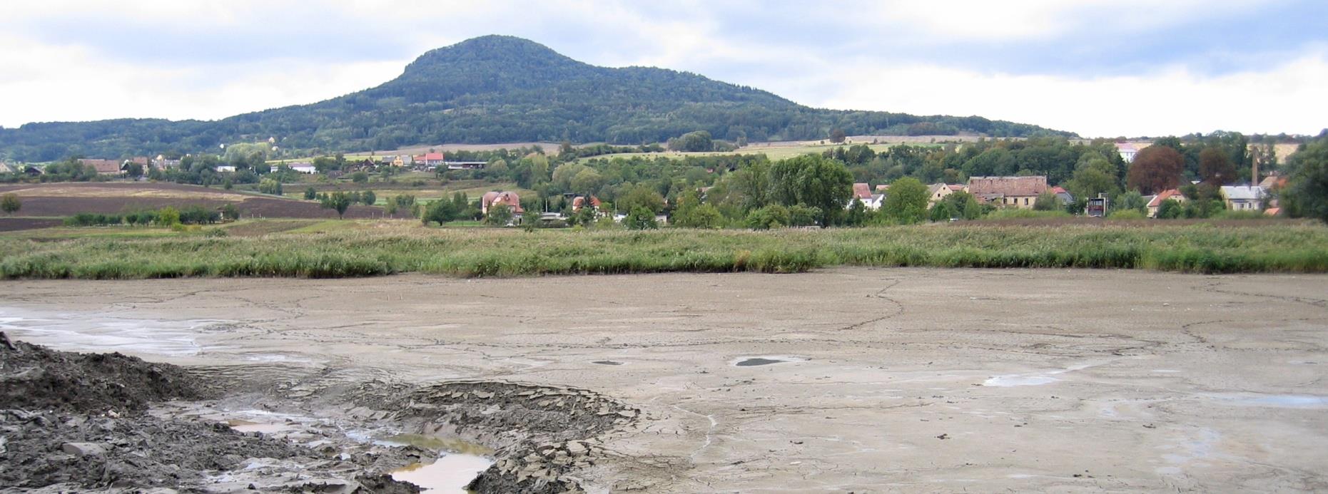 Prostor zátopy - litorál Litorální pásmo tvoří plynulý přechod mezi vodním prostředím nádrže a okolním územím, chrání břehy před účinkem vln a má význam estetický a ekologický Osazuje se tvrdými