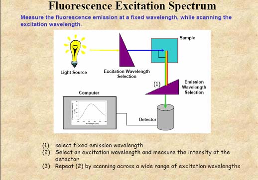 Fluorometr