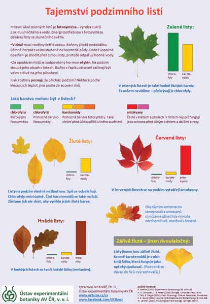 Příloha Tajemství podzimního listí Obrázek ke stáhnutí na: http://www. ueb.cas.