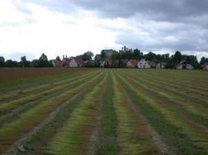 Proč stanice vznikla... V roce 1974 jsem pracoval jako hlavní agronom JZD Beskyd se sídlem v Mořkově. Mezi hlavní tržní plodiny, které jsme pěstovali, byl len, jehož výměra dosahovala 50 ha.