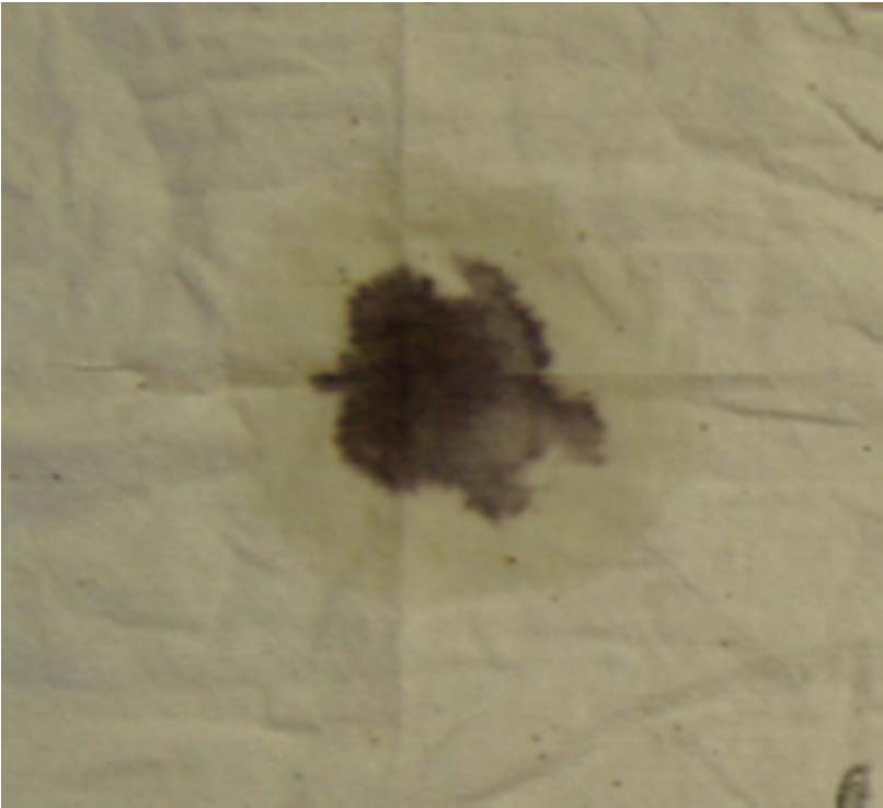 Důkaz šlichty přímo na povrchu vláken II Stupeň odšlichtování kapkovou zkouškou roztokem jódu v jodidu draselném.