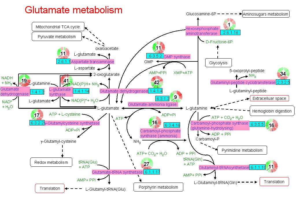 Příklady systémů Technické Biologické spalovací motor elektrický obvod počítačový algoritmus buňka mozek metabolický proces Ekologické