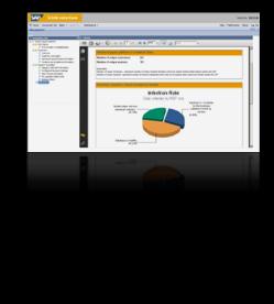 Jednoduchá instalace RSP can simply be downloaded from the SAP Service Marketplace The current version supports the SAP Business One 8.