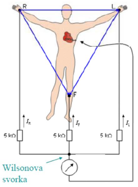 Obrázek 16: Einthovenův trojúhelník [16]. Svody označené jako unipolární měří potenciál mezi diferentní a indiferentní elektrodou.