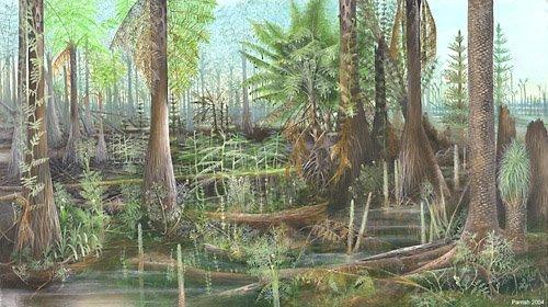 V období karbonu (před 360 300 miliony let) došlo k obrovskému rozvoji vegetace a k