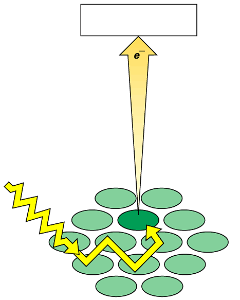 Primary Příjemce electron acceptor elektronu Foton Reakční Reaction