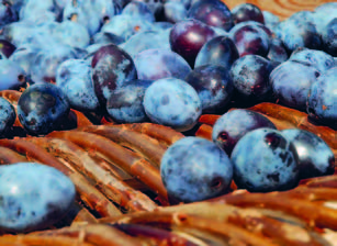 Ovocie a sušené ovocie Peter Pašš Malá rodinná farma pestuje staré odrôdy ovocia jablone, hrušky, slivky, čerešne, višne, moruše či orechy.