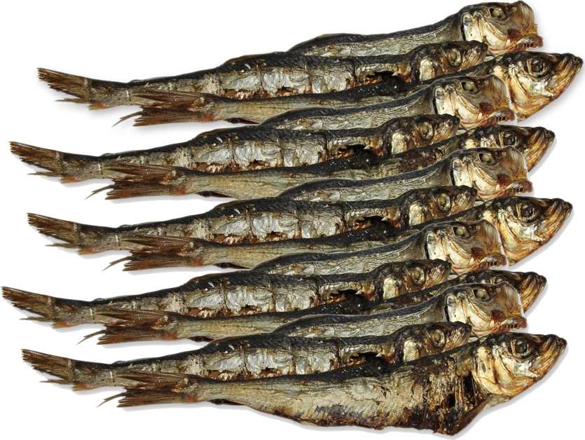 SUŠENÉ POCHOUTKY Kuřecí křídla - špičky 100g Hovězí chipsy 100g Vepřové chipsy 100g Záouško -