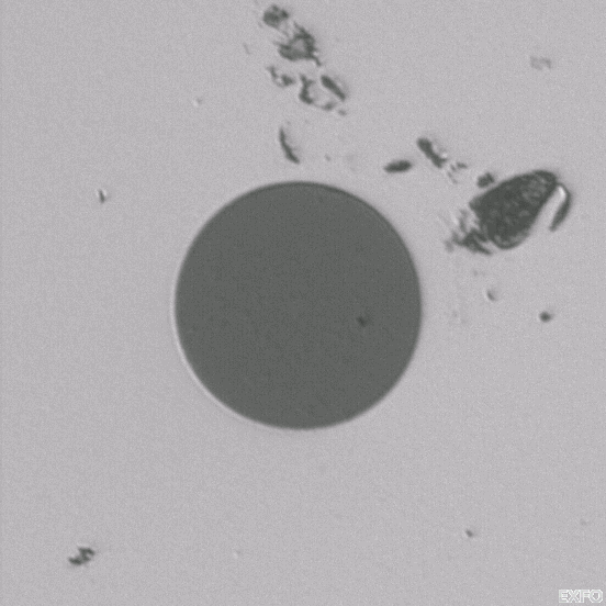 Fail iolm Test Settings FIP Test Parameters Launch fiber length: 0,5000 km Receive fiber length: 0,0000 km IOR: 1,468325 Backscatter: -81,87 db Fiber core size: 9 µm Configuration: