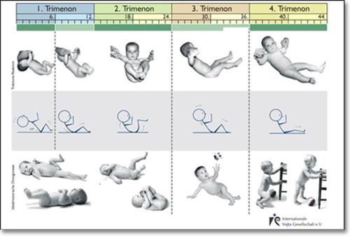 f) Zkouška podle g) Collisové vertikála Pipera a Isberta a) g) Internationale Vojta Gesellschaft e. V. online Dostupné z: http://www.vojta.com/cs/vojtuv-princip/diagnostikavojty/polohove-testy.
