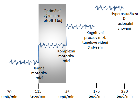 5. C Core confidence Základní (sebe)jistota Z výše uvedeného grafu je patrné, že v určité fázi za stresování organismu dochází k absenci motoriky dle intenzity stresu.