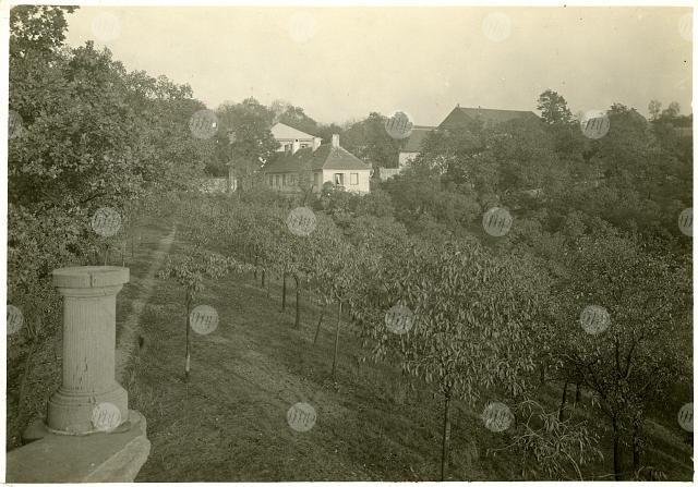 4.3. Fotografie 18. Pohled do zahrady na Cibulce, kol. r. 1910 1920, anonym, v 120 x š 170 mm.