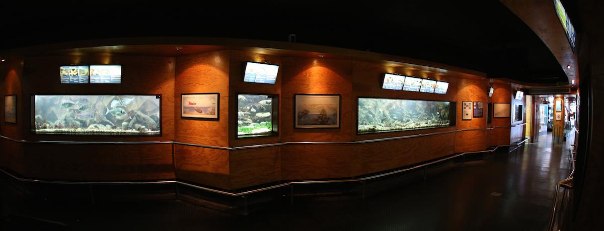 Akvárium, číslo 35 e-akvarium.