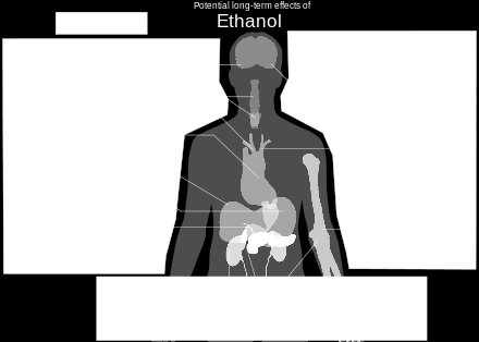 Zástupci Ethanol (obecně alkohol, hovorově špiritus) Oxidace etanolu probíhá v játrech ve dvou stupních.