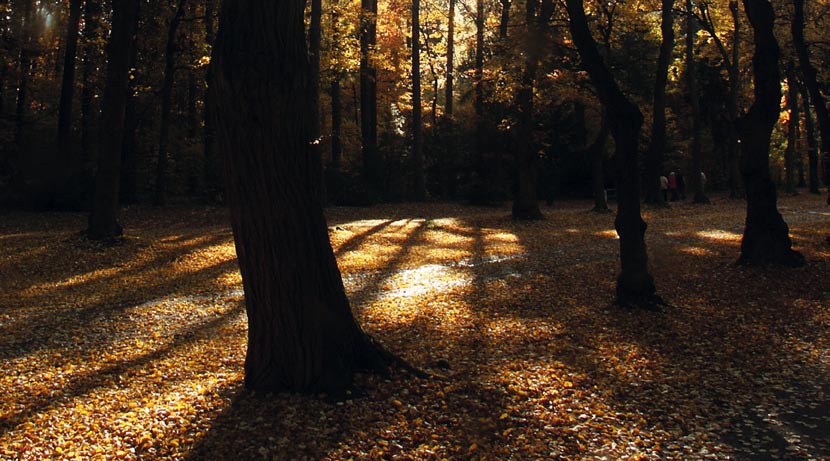 Zpráva o vlivu PARAMO, a.s.