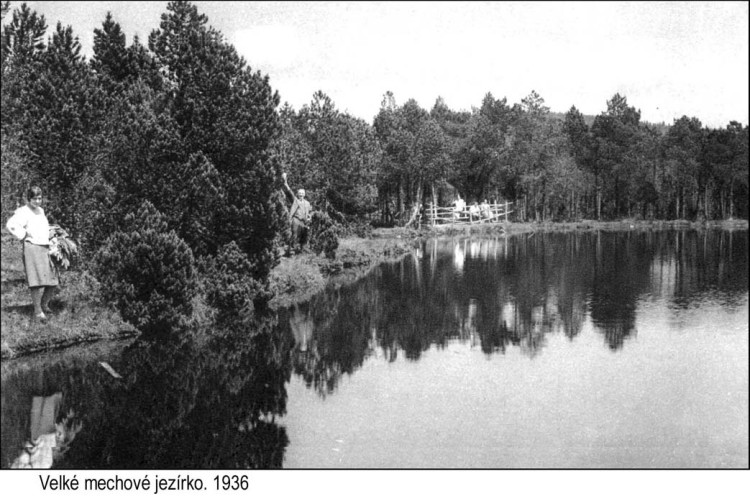 1. Úvod Rašeliniště Rejvíz, ležící v severním podhůří Hrubého Jeseníku, je nejzachovalejším blatkovým borem v České republice a tvoří největší komplex vrchoviště, podmáčených smrčin a rašelinných luk