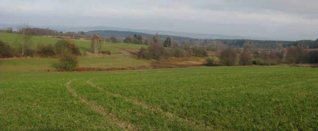 Kaliště, U Loupeţníka Část rozsáhlé enklávy luk s prameništi byla v minulosti odvodněna, část byla zase ponechána napospas zarůstání.