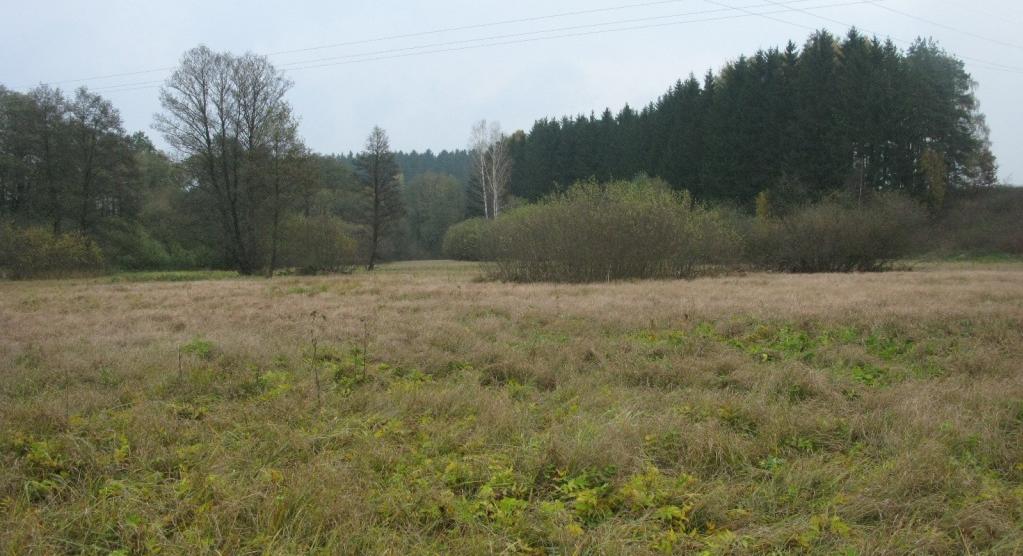 jsou komentovány i přes negativní výsledek. Na ostatních nebylo nic nalezeno, a proto nejsou komentovány ani uvedeny. 3.2.1 Zvláště chráněná území PP Kejtovské louky (okr.