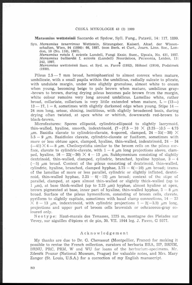 Č e s k á m y k o l o g i e 43 (2) 1989 Marasmius w ettsteinii Saccardo et Sydow, Syll. Fung., P atav ii, 14: 117, 1899. Syn. M arasmius tenerrim us W ettstein, Sitzungsber. Kaiserl. Akad.