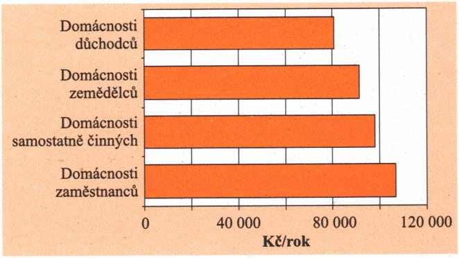 Příjmy a výdaje domácností Pro vývoj příjmů a výdajů domácností v devadesátých letech byly charakteristické zejména: vysoká dynamika příjmů ve vazbě na růst spotřebitelských cen a zvýraznění příjmové