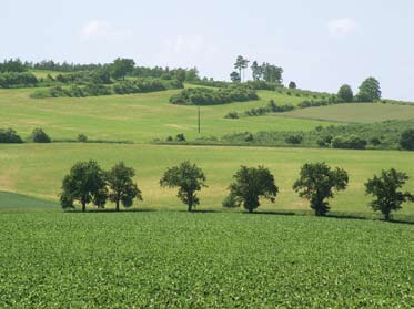 Pozemkové úpravy 17 3. Postavení vlastníka při správě svého majetku otázky a odpovědi Existuje způsob, kterým lze dosáhnout scelení pozemků, které vlastním?