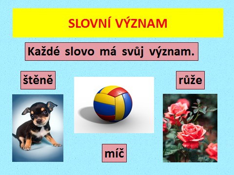 Název prezentace: Slovní význam Tvůrce: Mgr. Eva Mrázková Žák určí význam každého slova.