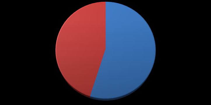 6.1 Zkoumaný soubor Graf č. 2 Respondenti podle pohlaví muži 45% ženy 55% Tabulka č.