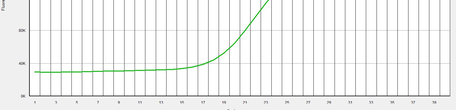 Problémy v qrt-pcr analýze Jak vypadá správný amplifikační výstup?